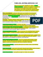 Parcial Anatomía Del Sistema Nervioso 14