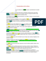 Características de Los Lobos Trabajo Español