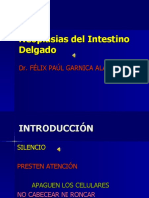 Neoplasias Del Intestino Delgado (Paraclase)