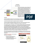 Materia Bioquimica Prueba 5 