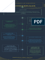 Infografía, Garantías Constitucionales