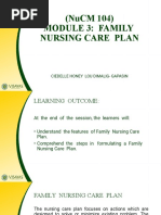 Module 3 Family Nursing Care Plan