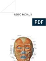 Regio Facialis