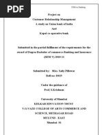 Download Customer Relationship Management in Banks by Saily Pillewar SN53403310 doc pdf