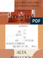 Estructura Orgánica Del Tribunal Constitucional
