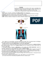 Sistema Excretor 2. Exercícios