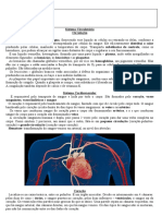 Sistema Circulatorio 8. Exercícios