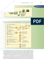 Diagrama de Gozinto o Grafica de Ensamble - Ejemplo 210709