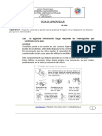 Guia de Ciencias 3 Basico, Formativa