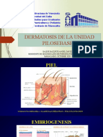 Dermatosis de La Unidad Pilosebasea