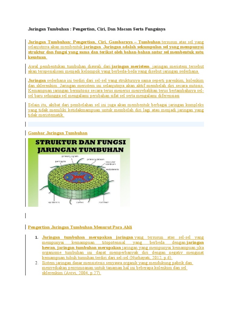 Jaringan Tumbuhan | PDF