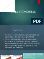 Asma Bronquial