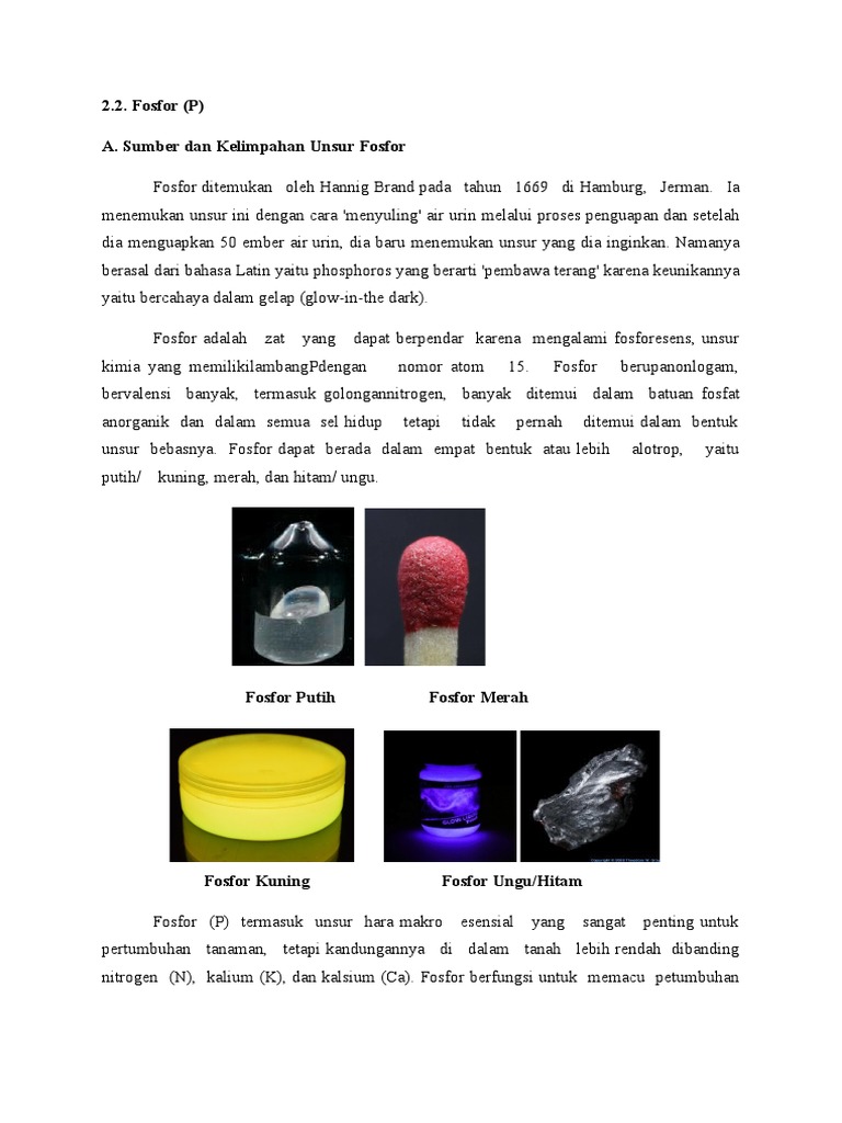 Fosfor Pdf