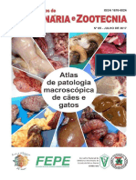 Atlas de Patologia Macroscópica de Cães e Gatos - Caderno Técnico 85