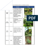 Vegetación Existente Dentro La Vivienda de Estudio y Sus Alrededores Próximos