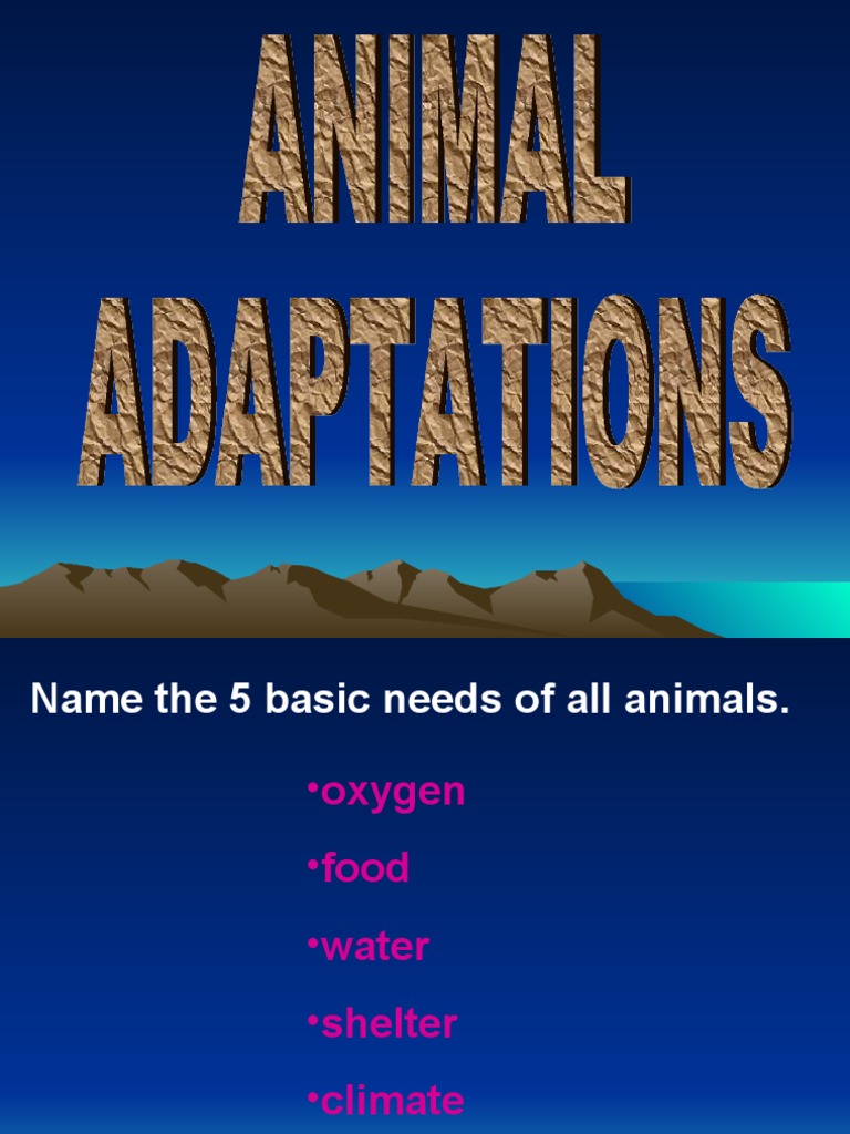 Animal Adaptation | PDF | Science & Mathematics