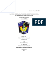 Laporan Observasi Lapngan