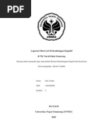 Download Laporan Observasi an Kognitif by saiaririn SN53410873 doc pdf