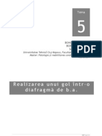 Lucrarea 5 - Diafragma