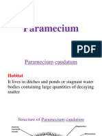 Life Processes of Living Thigns (Paramecium)