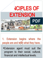 Principles of Extension