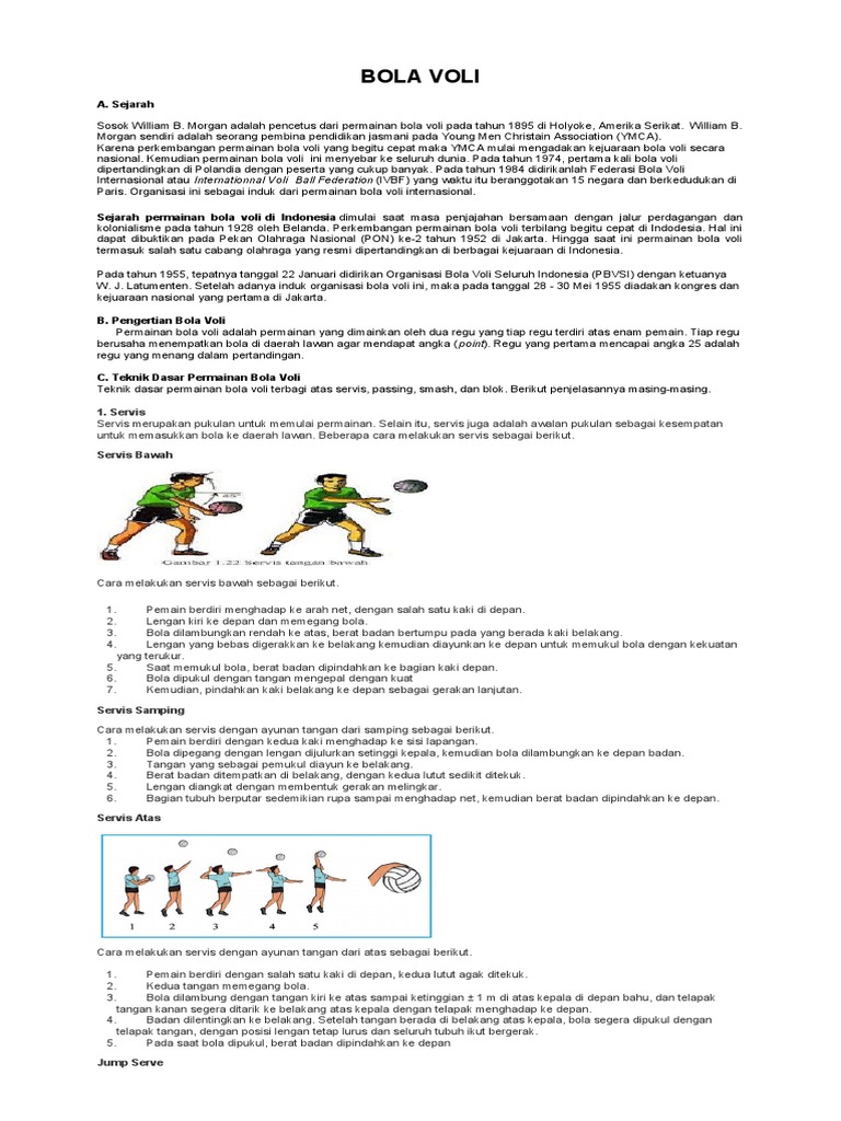 Panduan Dasar Bola Voli | PDF
