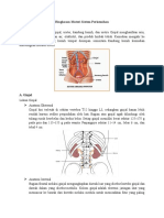 Materi Sistem Perkemihan