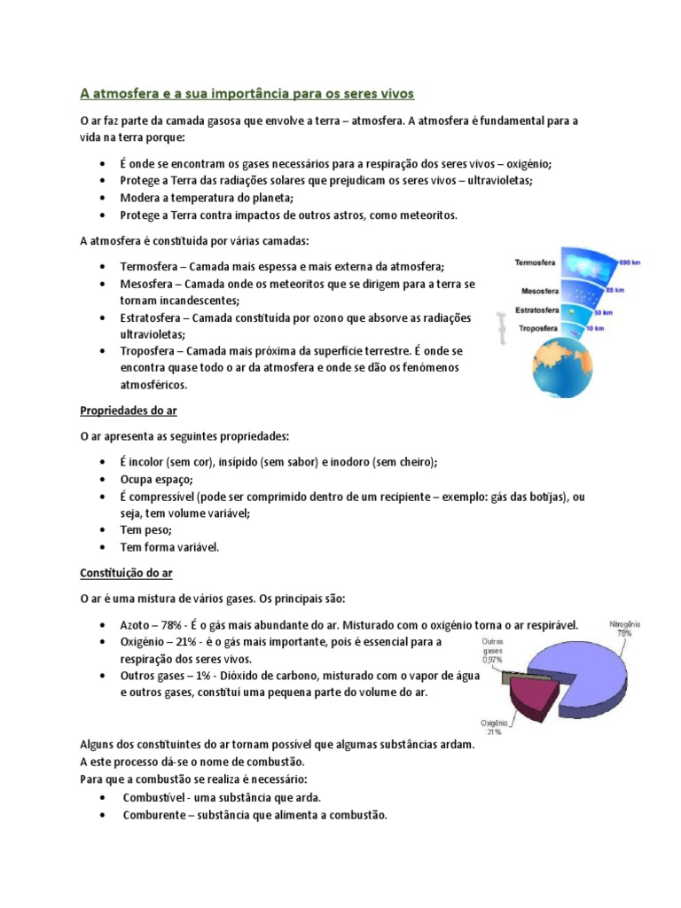 Importância significado visual data 8