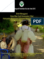 Buku Seri Etnografi Kesehatan Ibu Dan Anak 2012 Etnik Manggarai Desa Wae Codi Kecamatan Cibal Kabupaten Manggarai Provinsi Nusa Tenggara Timur