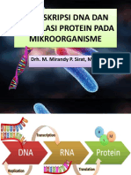 Transkripsi Dna Dan Translasi Protein