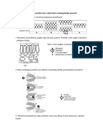 Biologines Membranos Aktyvioji Ir Palengvintoji Pernasa 2