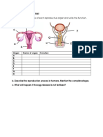 Review Science P6 CT1