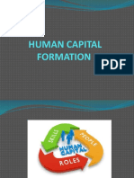 Human Capital Formation