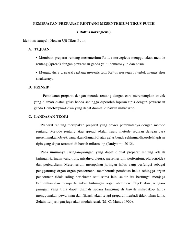 Preparat Rentang Mesenterium Tikus | PDF