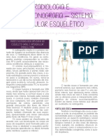 Diagnóstico Por Imagem Aula 02 - Radiologia e Ultrassonografia Sistema Articular Esquelético