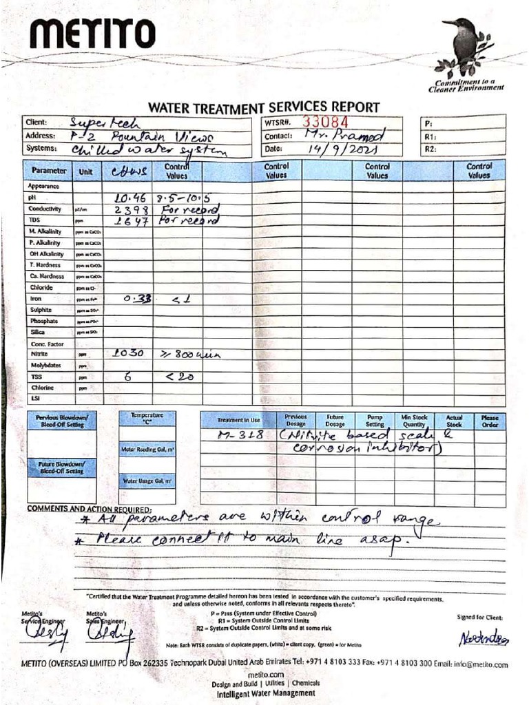 Flushing Report | PDF