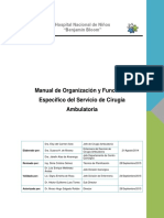 3202-Manual de Organización y Funciones de Servicio de Cirugía Ambulatoria