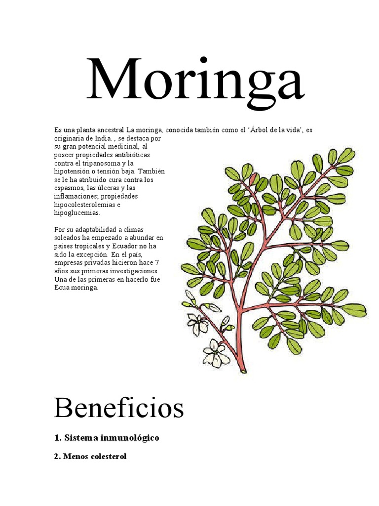 Vitamin Store Sincelejo (@vitaminsincelejo) • Instagram photos and videos, image size:768x1024