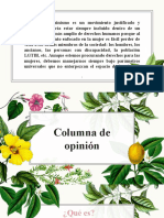 Columna de opinión