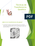 Técnicas de Transferencia Genética