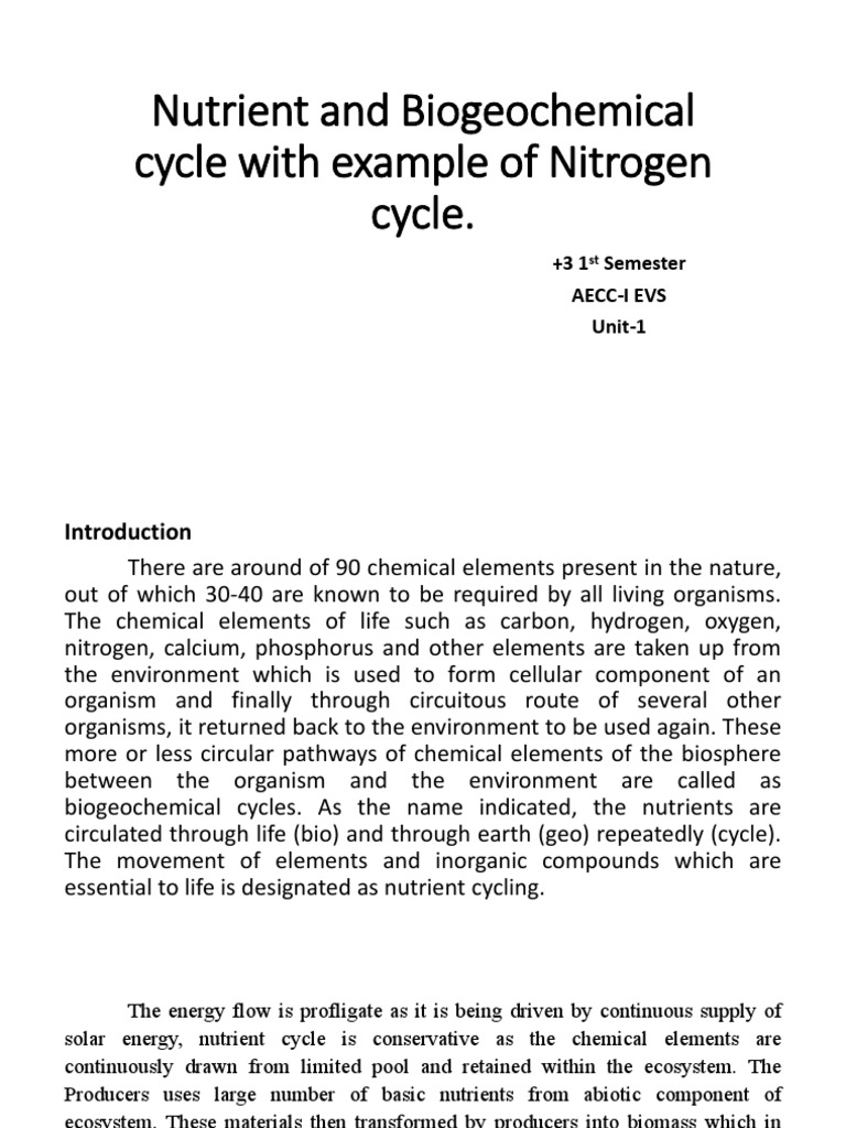 Understanding Nutrient Cycles: Nitrogen & Carbon | PDF | Carbon Cycle ...