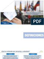 PPT CAN - Dumping y Subsidios