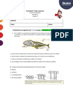 Actividad 6 Ciencias Naturales Grado 9° Skolmi