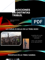 Tradiciones en Distintas Tribus