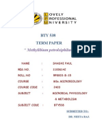 Methylibium Petroleiphilum