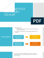 Bioenergetica e Respiração Celular