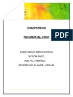 Trichoderma Viride