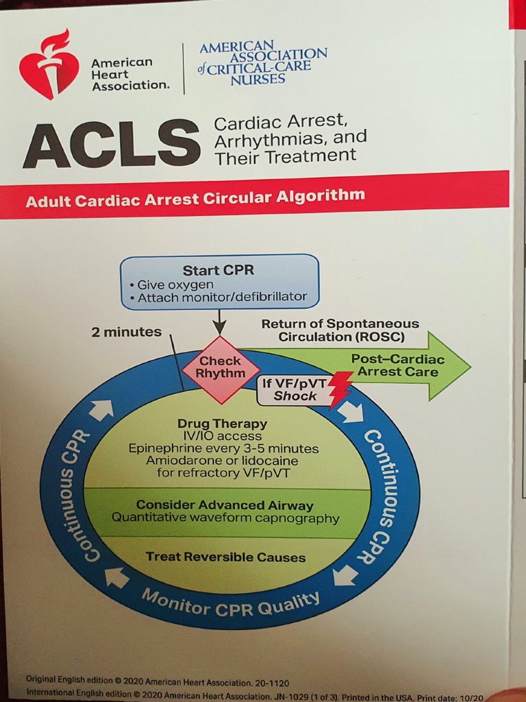 ACLS Adult Cardia Arrest Circular Algorithm | PDF