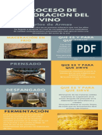 Proceso de Elaboracion Del Vino