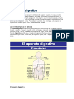 Sistema Digestivo para Niño